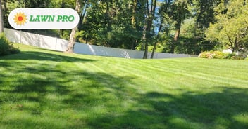 Lawn Pro tick protection on a Suffolk County lawn