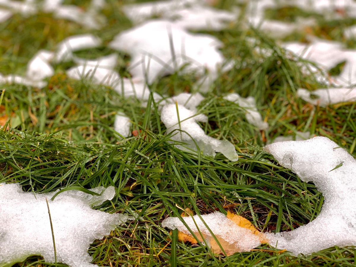 Long Island Homeowners: Get Your Lawn Ready for Winter With These Tips